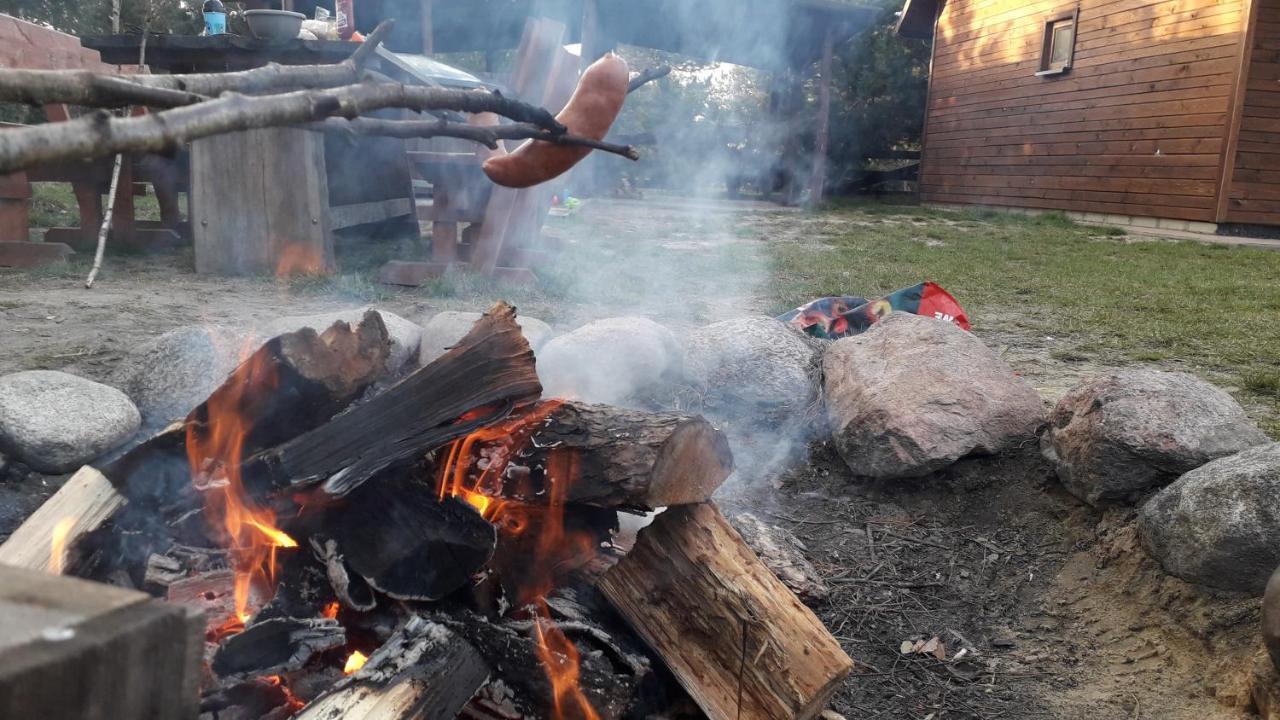 Hacjenda Lesny Zaulek Διαμέρισμα Włodawa Εξωτερικό φωτογραφία